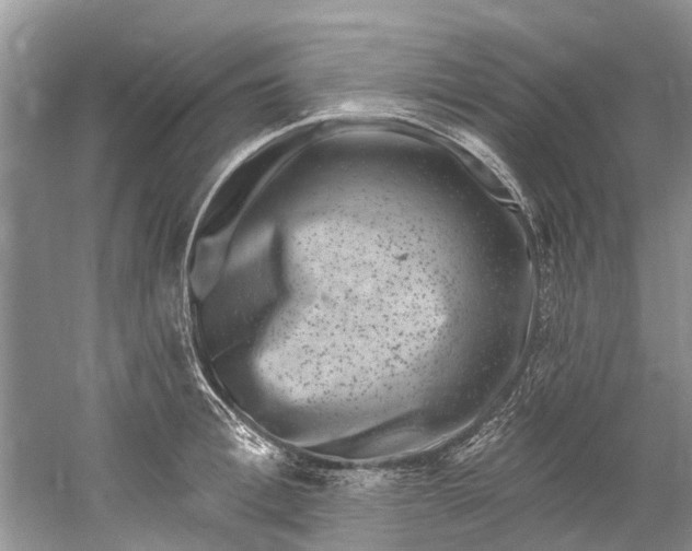 X0000061150996200512022309