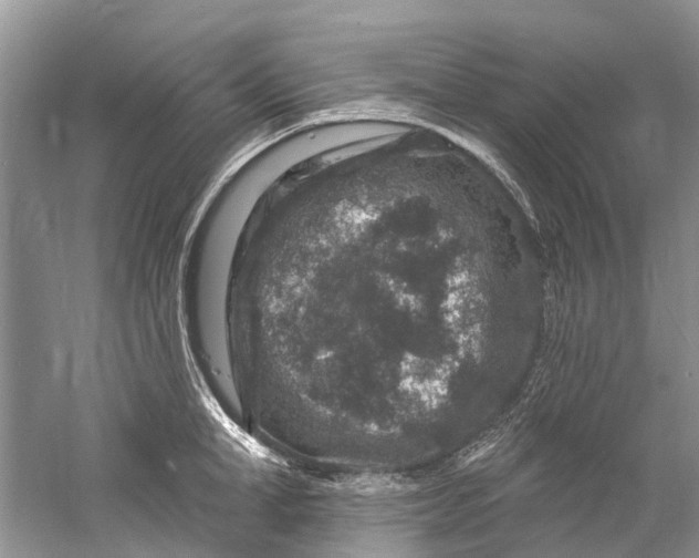 X0000061150998200512022309