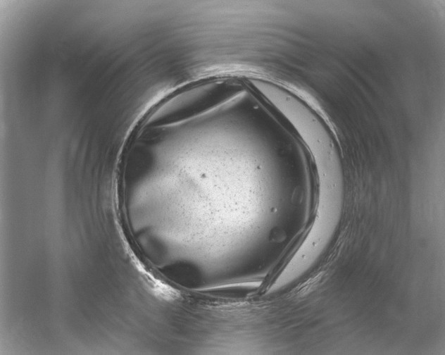 X0000061150999200512022309