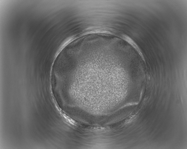 X0000061151002200512022309