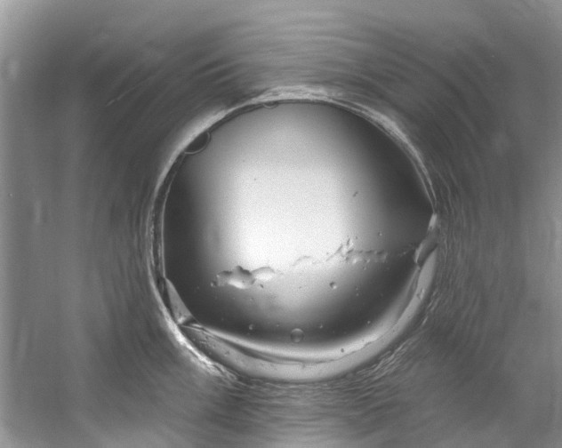 X0000061151003200512022309