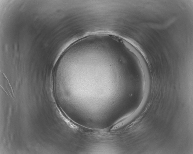 X0000061151006200512022309