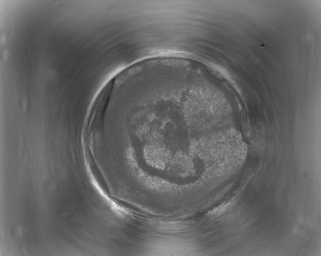 X0000061151007200512022309