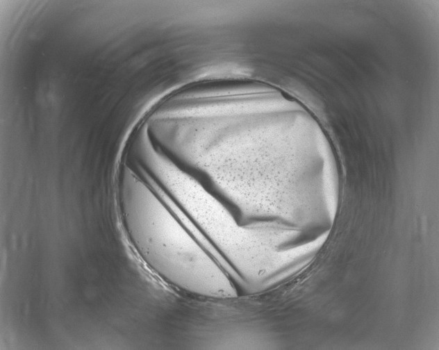 X0000061151008200512022309