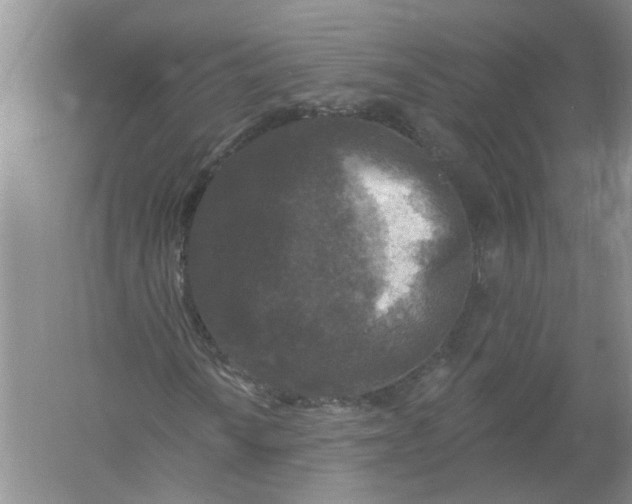 X0000061151010200512022308