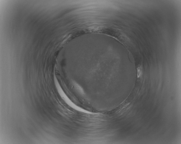 X0000061151011200512022308