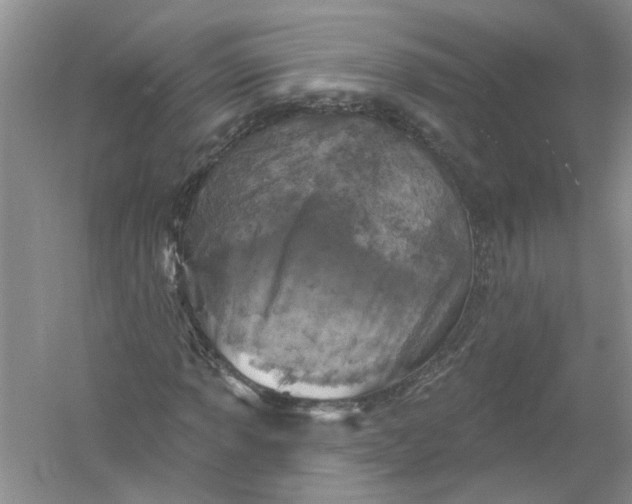 X0000061151013200512022308