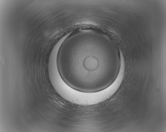 X0000061151014200512022308