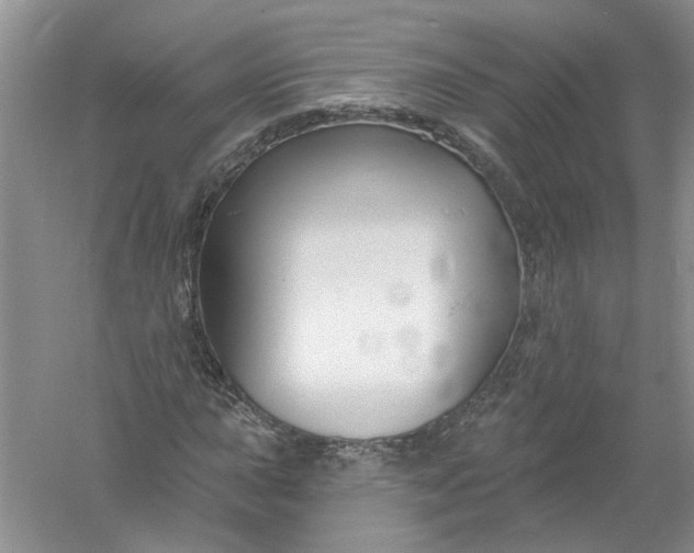 X0000061151015200512022308