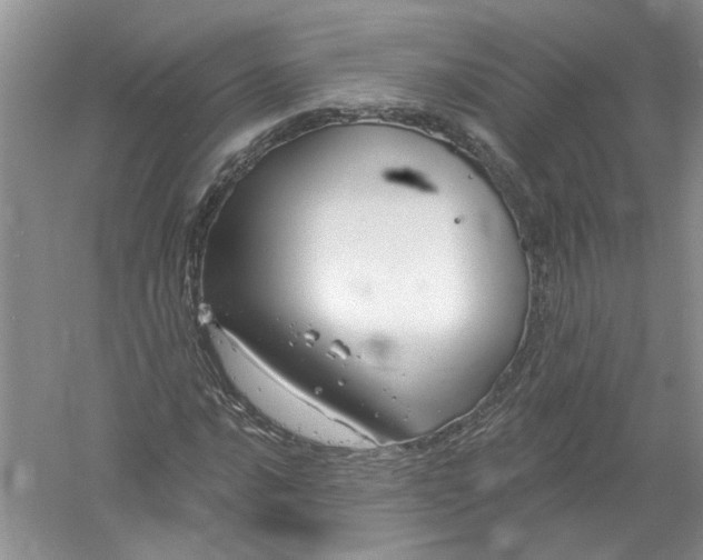 X0000061151016200512022308