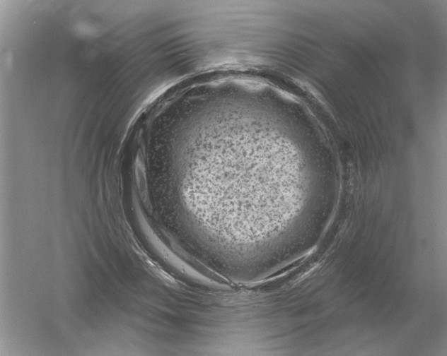 X0000061151018200512022308