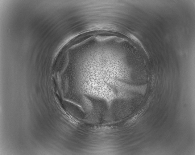 X0000061151019200512022308