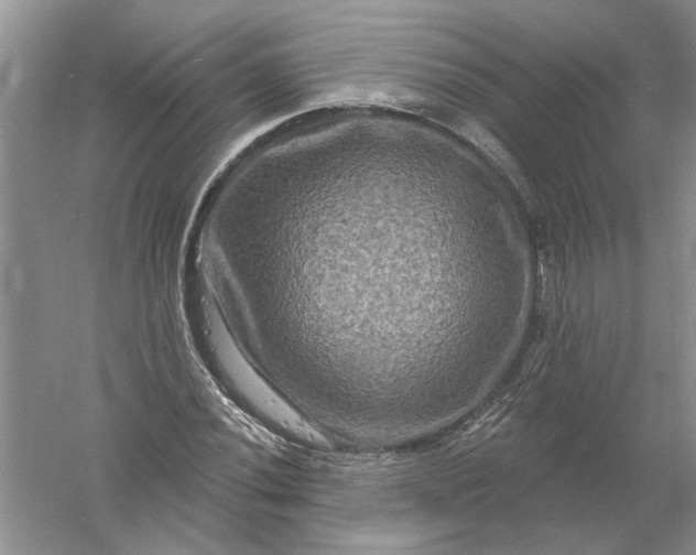 X0000061151020200512022308