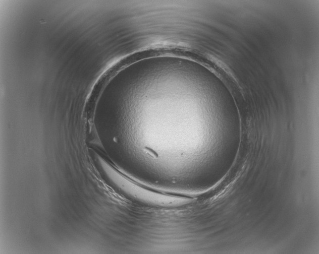 X0000061151021200512022308