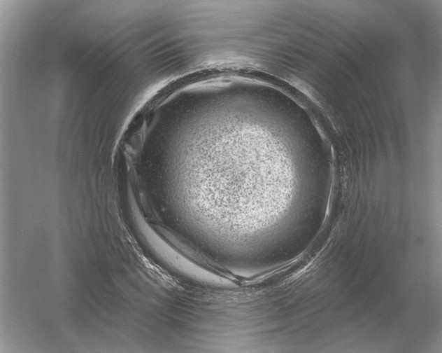 X0000061151022200512022309