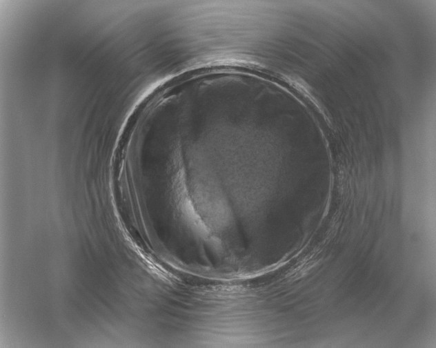 X0000061151024200512022309