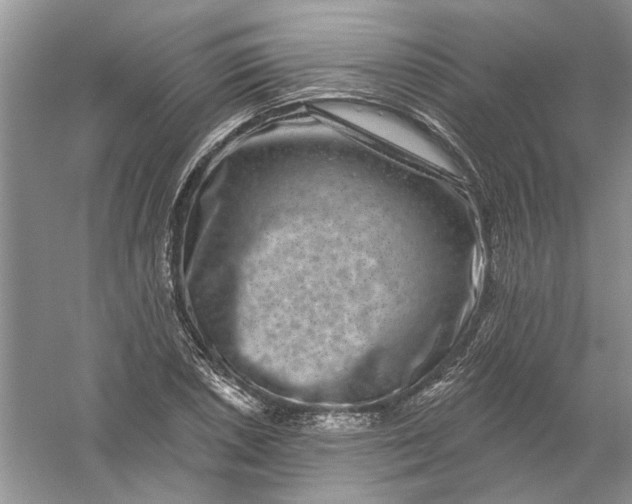 X0000061151026200512022309