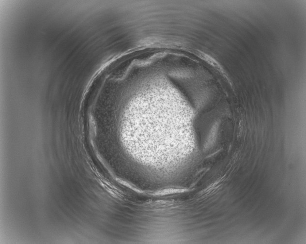 X0000061151027200512022309