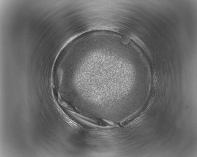 X0000061151028200512022309