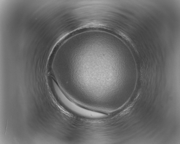 X0000061151029200512022309