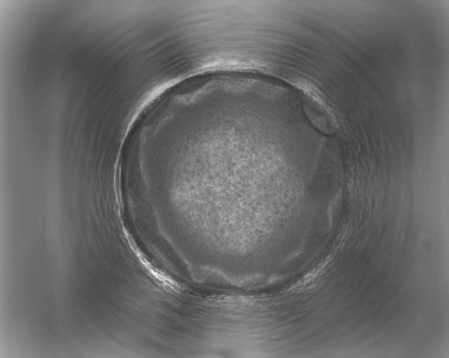 X0000061151030200512022309