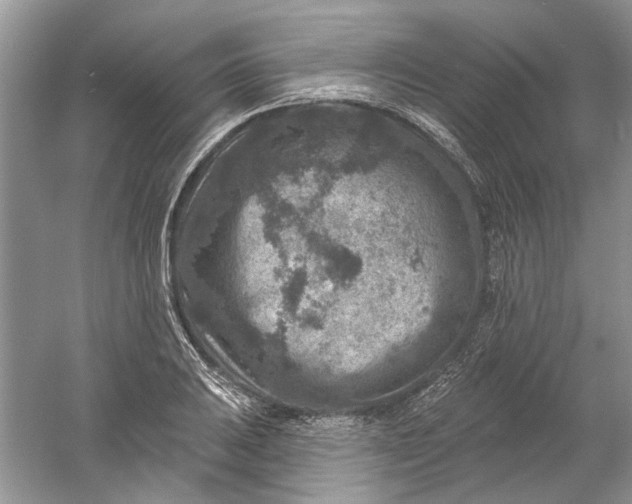 X0000061151031200512022309