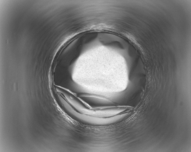 X0000061151032200512022309