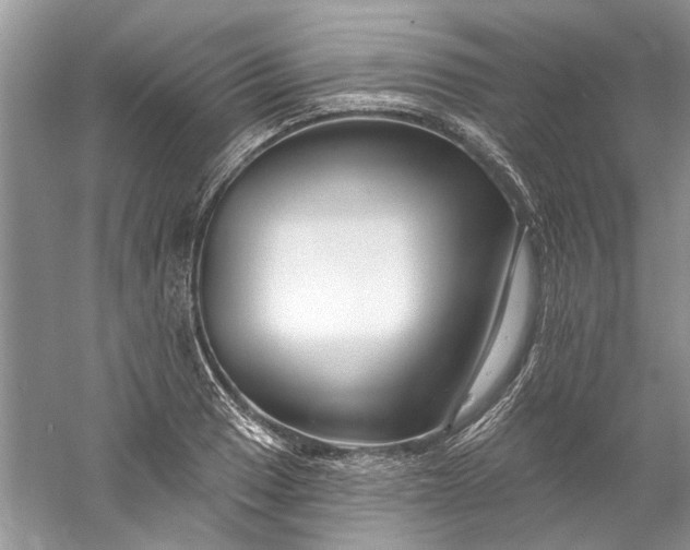 X0000061151033200512022309