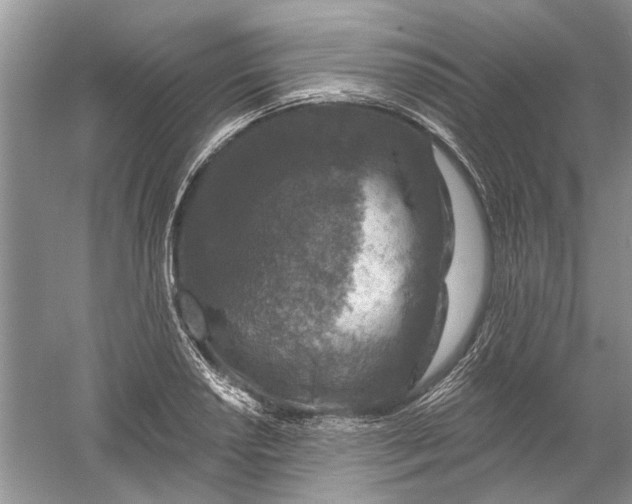 X0000061151034200512022309