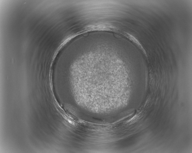 X0000061151035200512022309