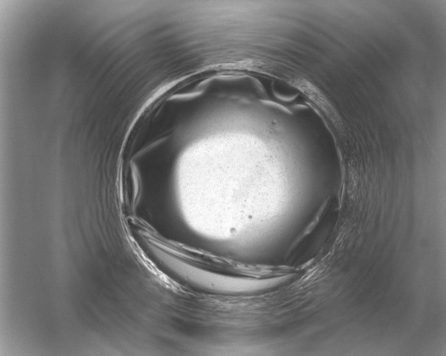 X0000061151036200512022309