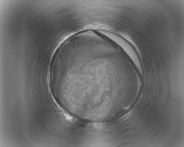 X0000061151040200512022309