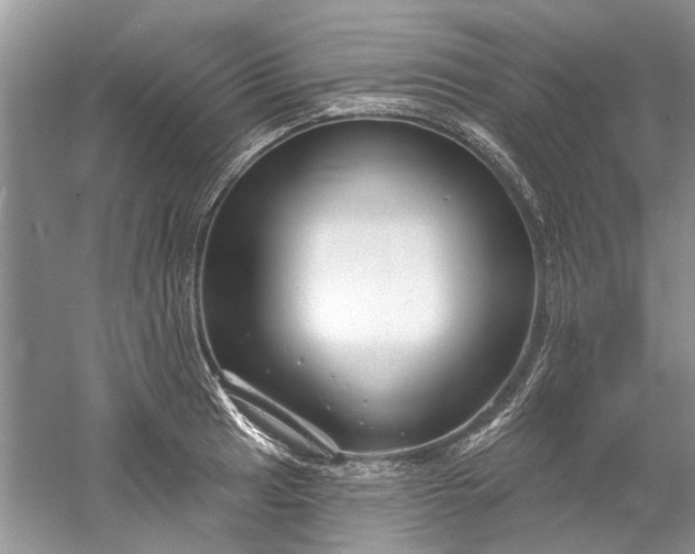 X0000061151041200512022309