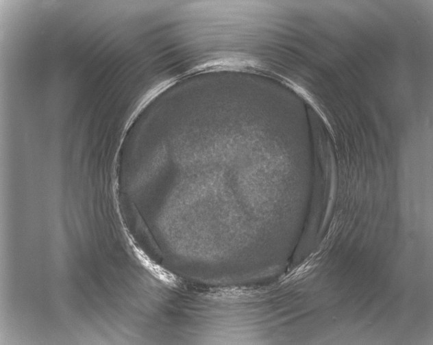 X0000061151042200512022309