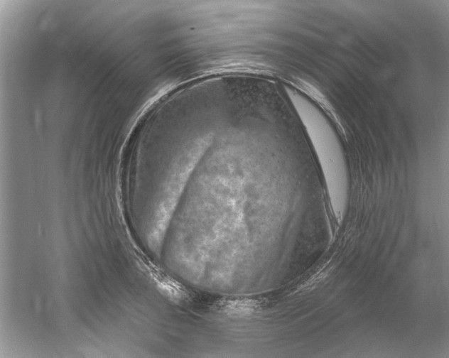 X0000061151043200512022309