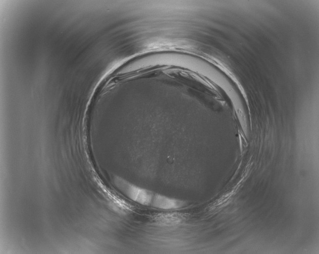 X0000061151045200512022309