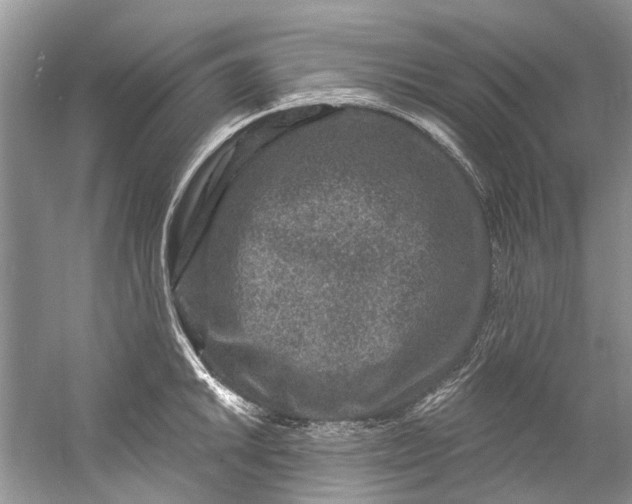 X0000061151046200512022309