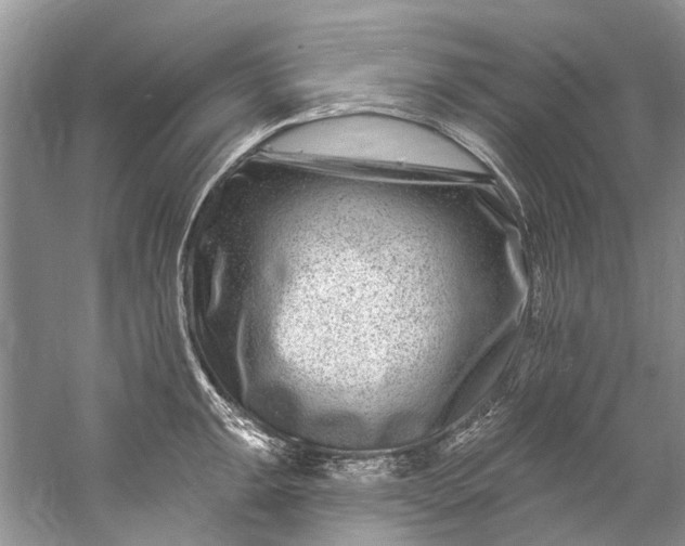 X0000061151047200512022309