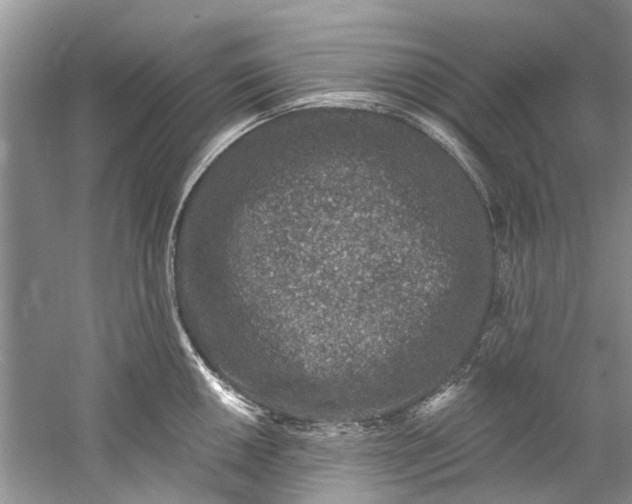 X0000061151050200512022309