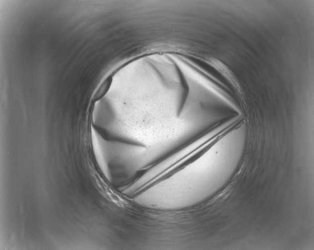 X0000061151052200512022309