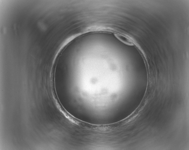 X0000061151053200512022309