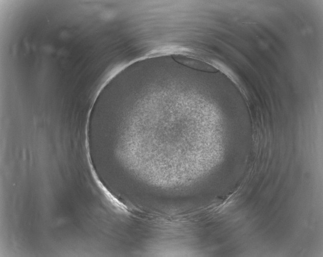 X0000061151055200512022309