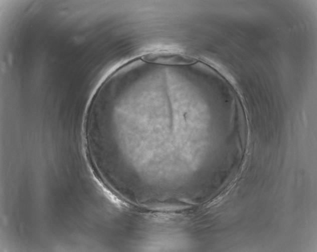 X0000061151056200512022309