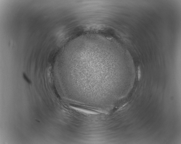 X0000061151059200512022308