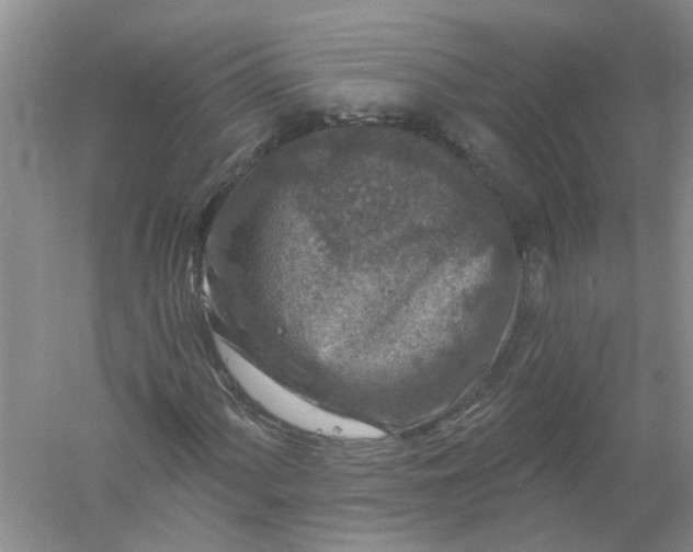 X0000061151060200512022308