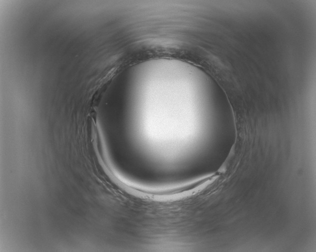 X0000061151061200512022308