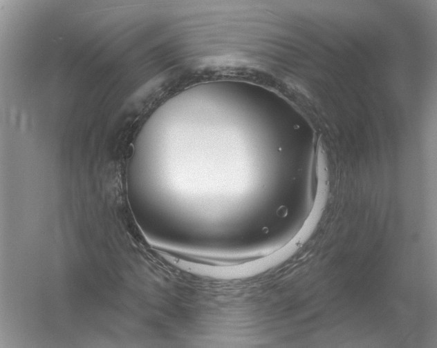 X0000061151062200512022308