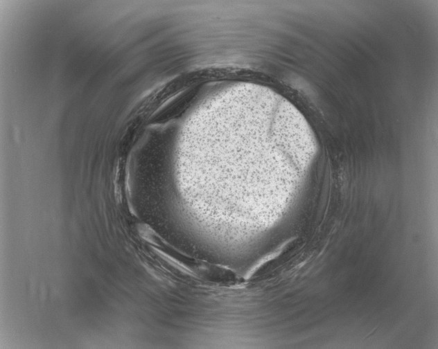 X0000061151064200512022308