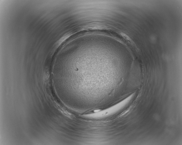 X0000061151065200512022308