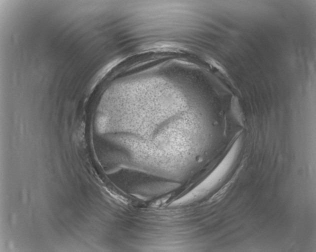 X0000061151066200512022308